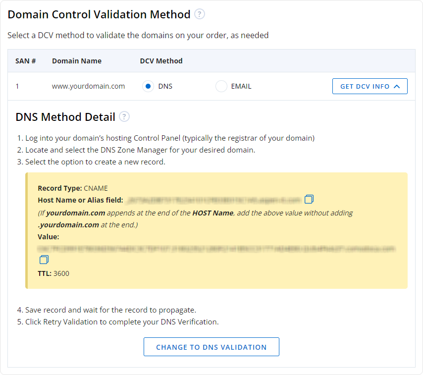 DNS Record Verification