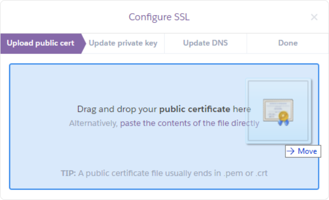 Heroku Upload Public Cert