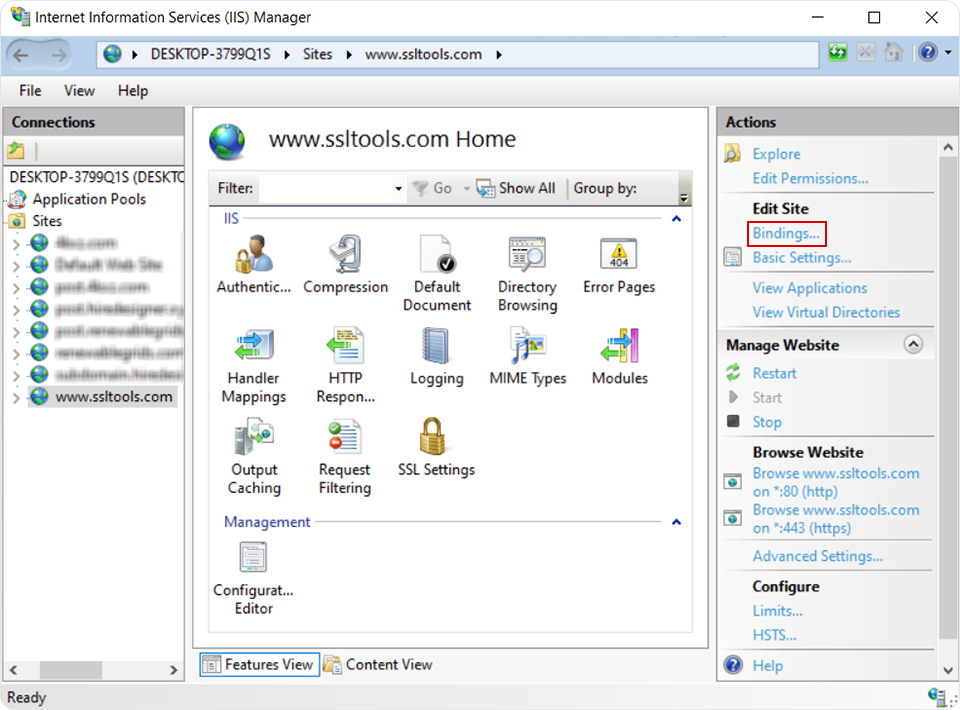 IIS Manager Bindings